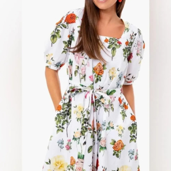 Rachel Antonoff Roses Susannah Mini Dress Size 2X - Picture 3 of 12